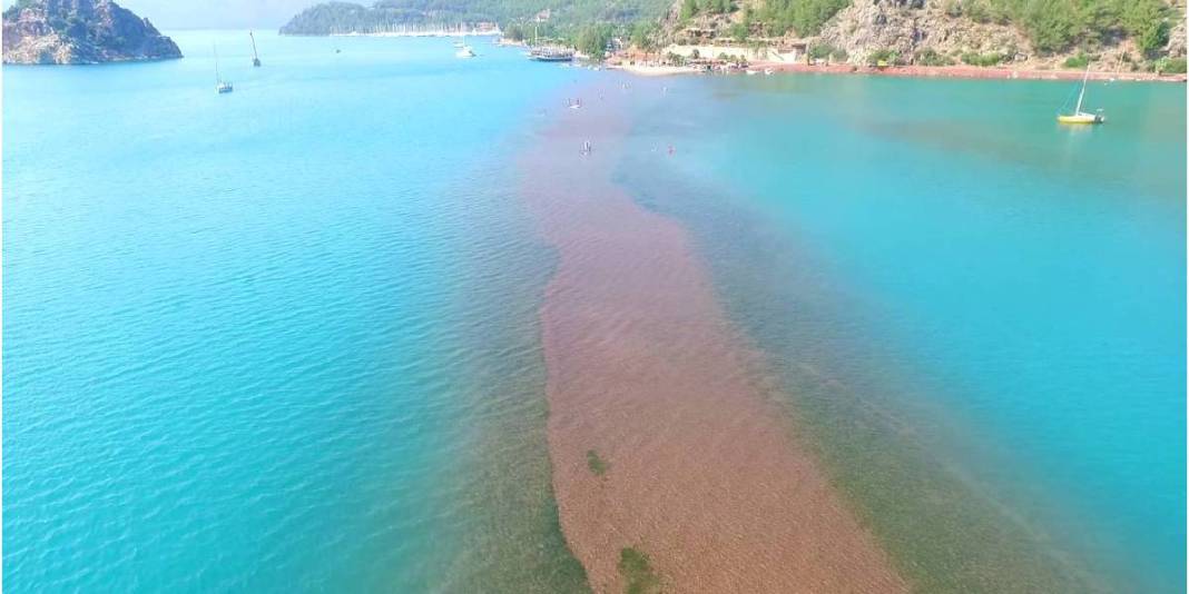 Seferihisar ya da Çeşme değil! Bu koyda denizin dibini görebileceksiniz: Suyun üstünde yürüten cennet koy 5